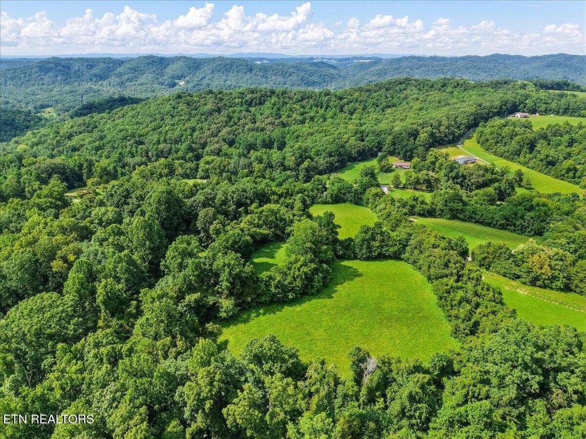 579565 Harless Road Corryton, TN 37721 - Photo 8 of 11 Gallery Image 8