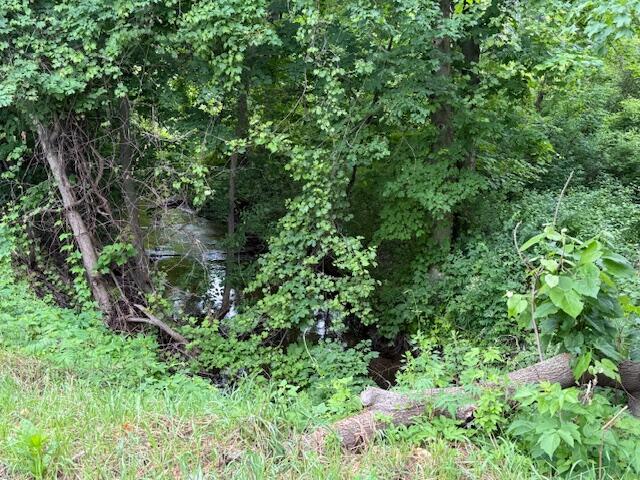 15255 Bailey Road Bailey, MI 49303 - Photo 4 of 22 IMG_3381
