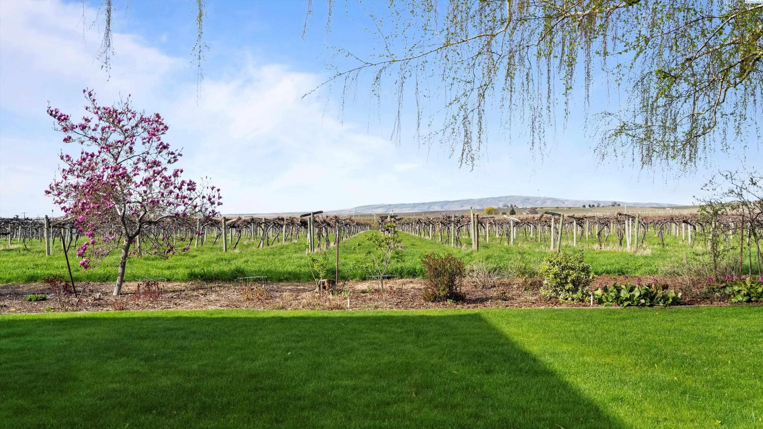 43701 North O'Brien Road Prosser, WA 99350 - Photo 44 of 48 Gallery Image 44