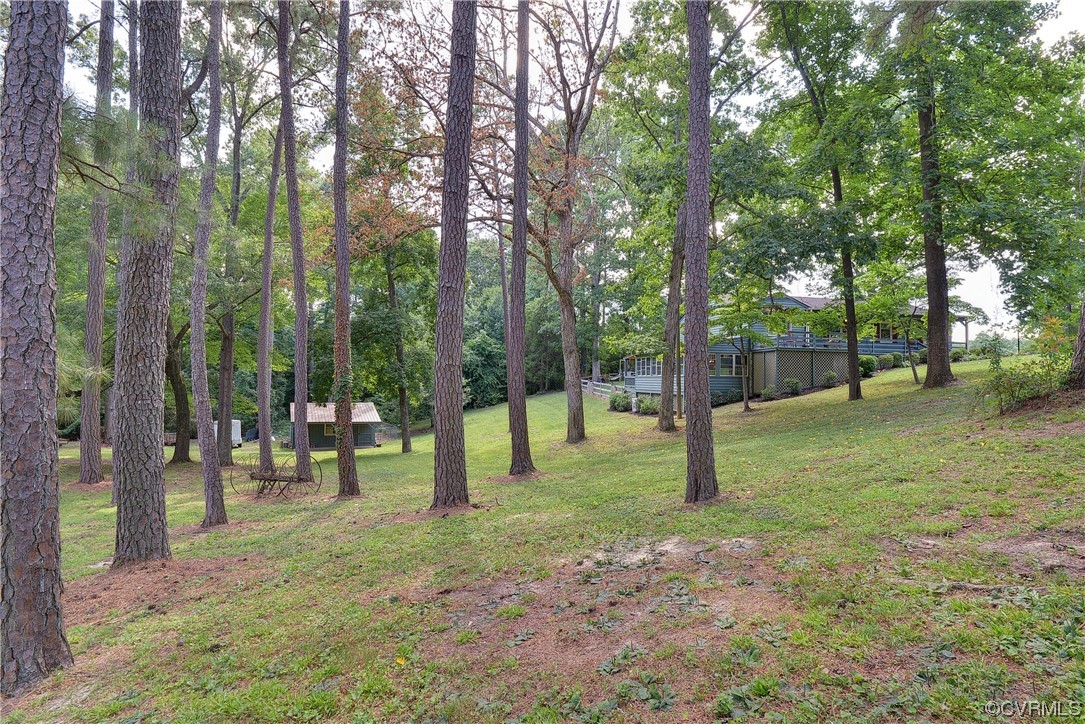 7317 Creighton Road Mechanicsville, VA 23111 - Photo 41 of 46 a view of park with trees