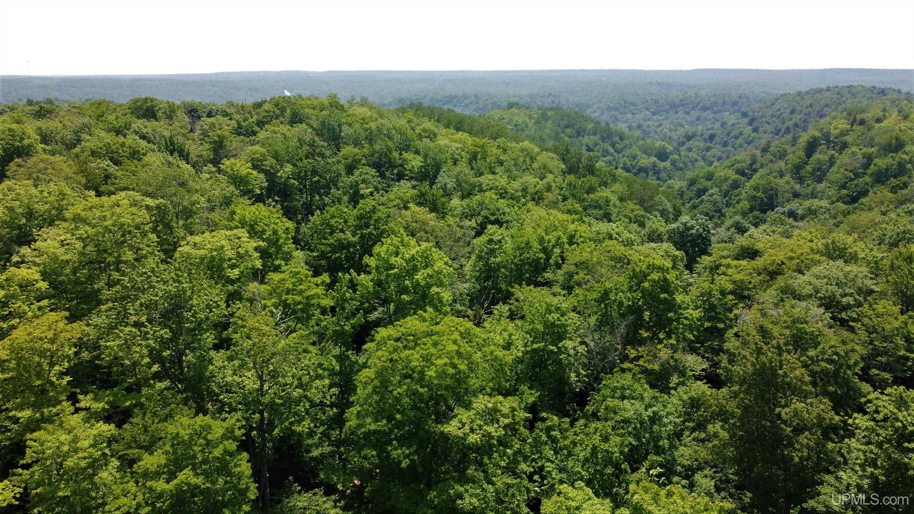 On Gage Road Munising, MI 49862 - Photo 3 of 17