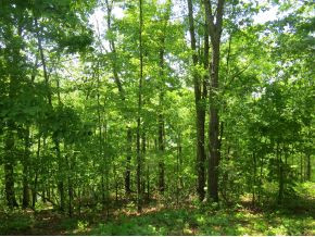 23177 Montego Bay Road Abingdon, VA 24211 - Photo 12 of 13 Photo 12