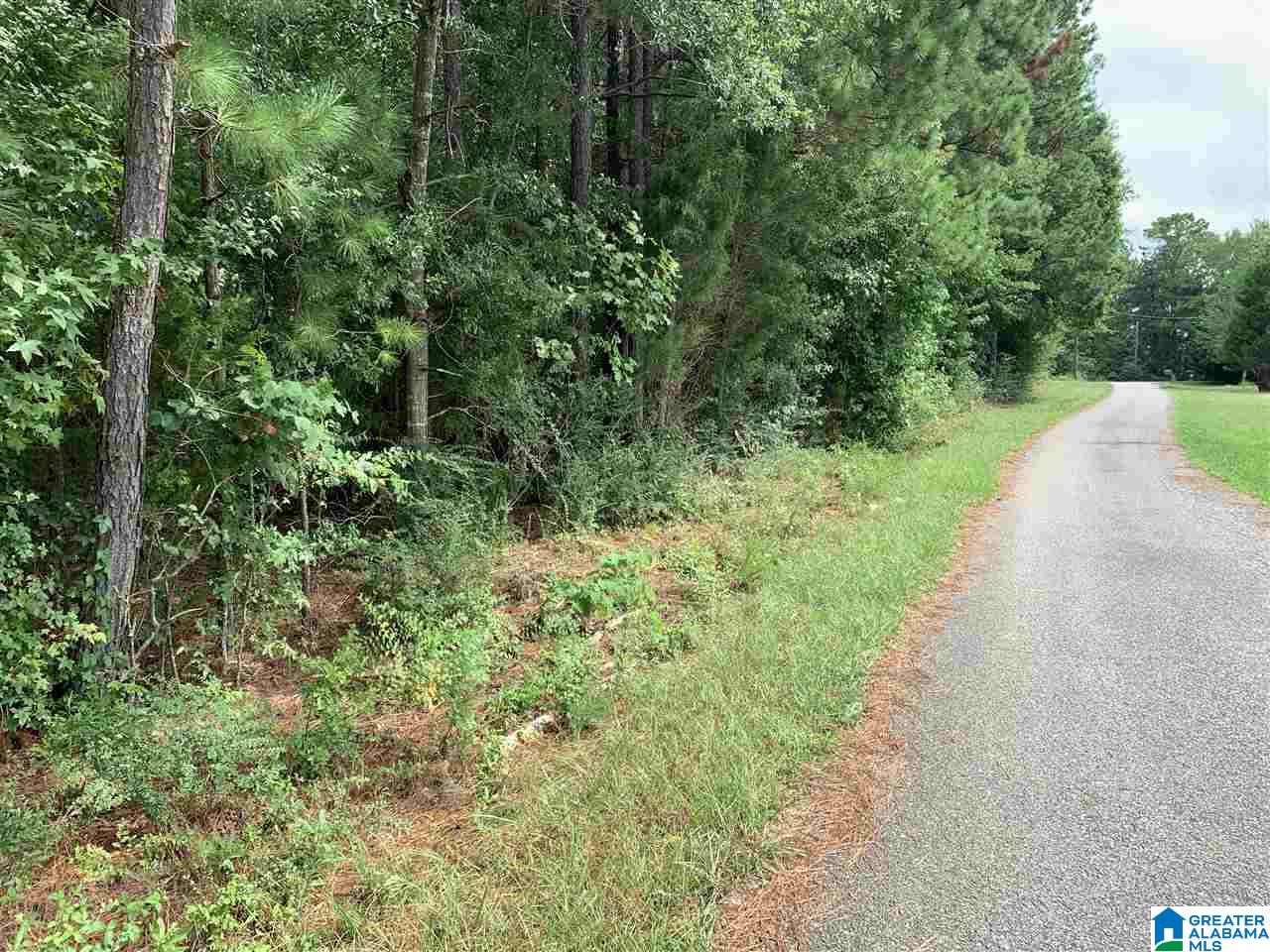 125 Running Deer Road, Unit 20 Talladega, AL 35160 - Photo 10 of 10