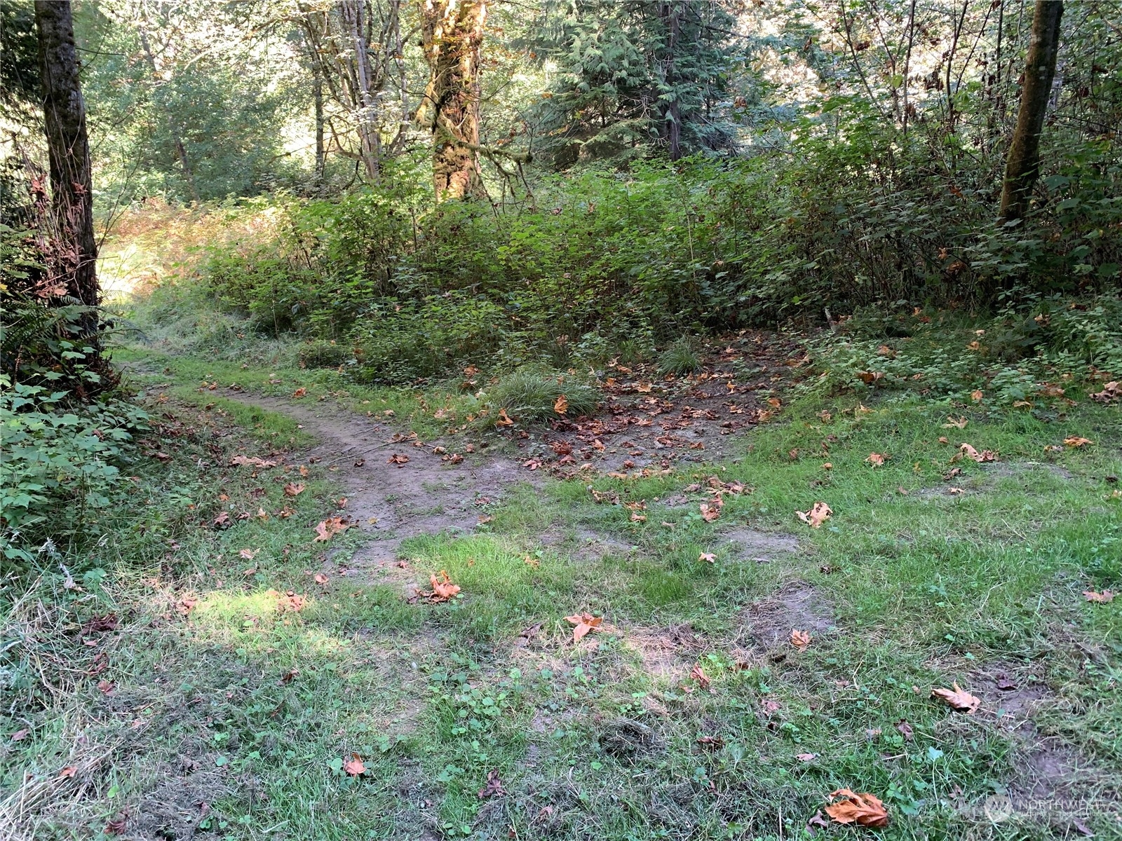0 Hellman Road Clinton, WA 98236 - Photo 5 of 25 Gallery Image 5