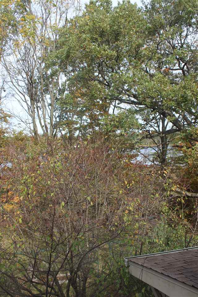 3776 East Armstrong Road Leesburg, IN 46538 - Photo 31 of 35 Gallery Image 31