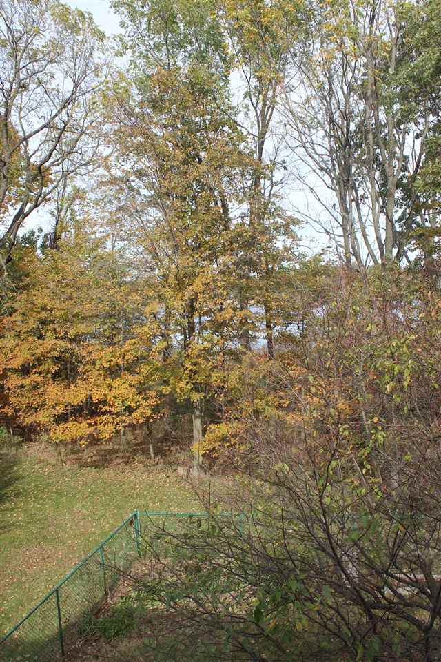 3776 East Armstrong Road Leesburg, IN 46538 - Photo 32 of 35 Gallery Image 32