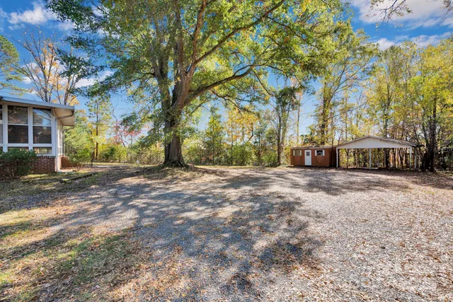 a view of street with trees