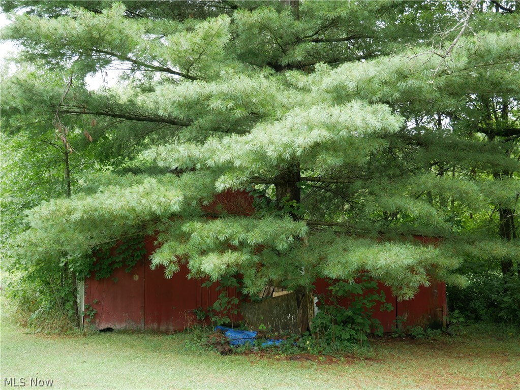13338 North Boone Road Columbia Station, OH 44028 - Photo 15 of 33