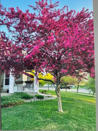 $365,000 | 66 Meadowlark Drive, Hudson, WI 54016