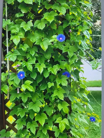 $365,000 | 66 Meadowlark Drive, Hudson, WI 54016