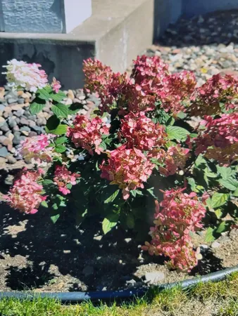 $365,000 | 66 Meadowlark Drive, Hudson, WI 54016