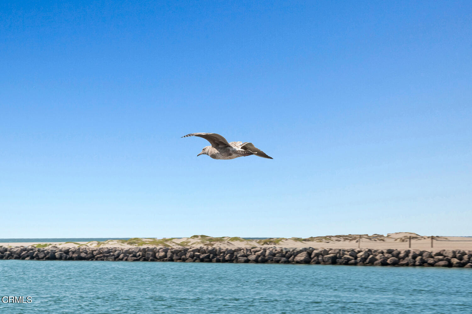 2309 Roosevelt Boulevard Oxnard, CA 93035 - Photo 6 of 40 2309 Roosevelt Blvd Oxnard CA-large-038-