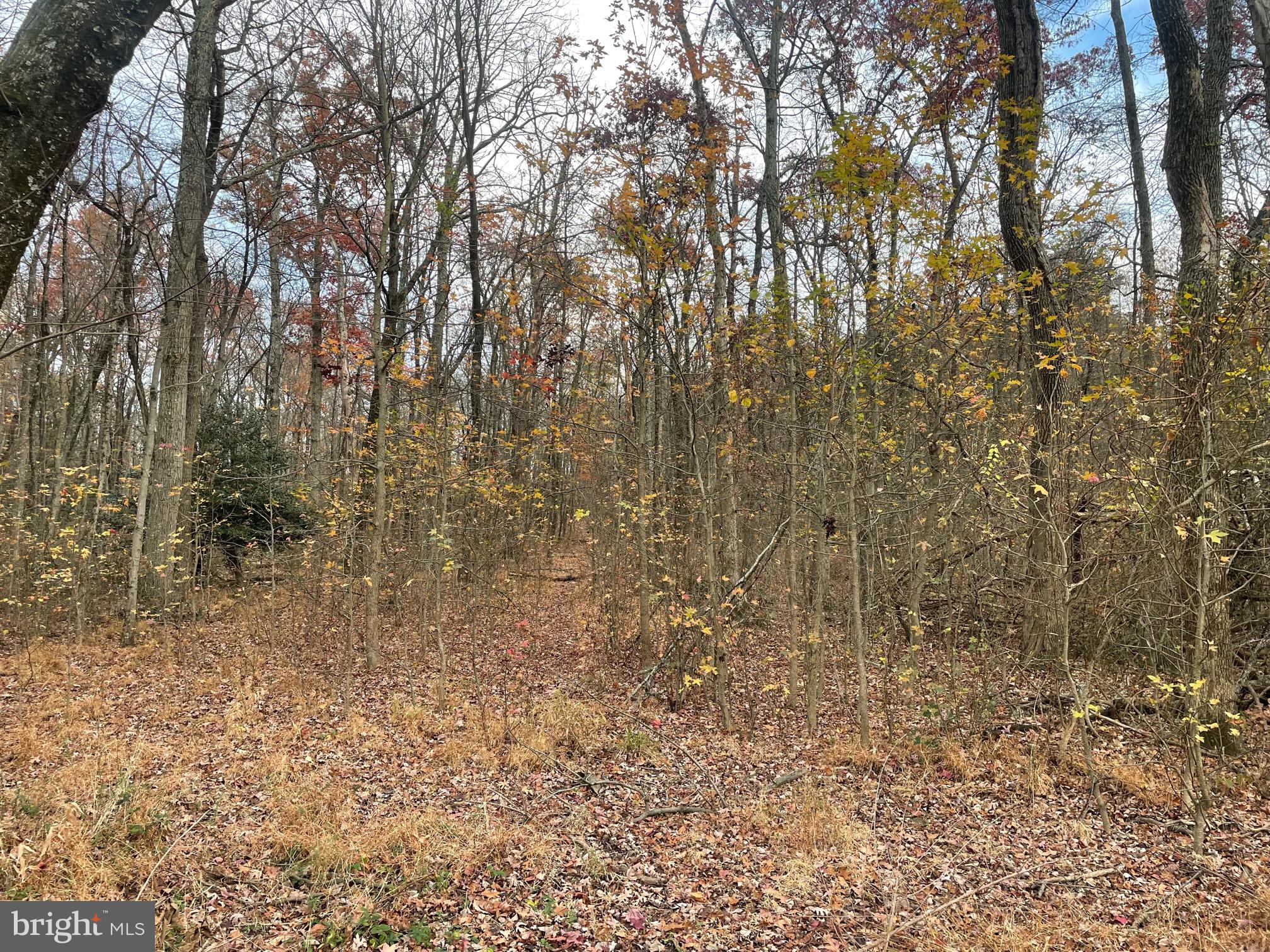 Burns Crossing Road Severn, MD 21144 - Photo 4 of 14