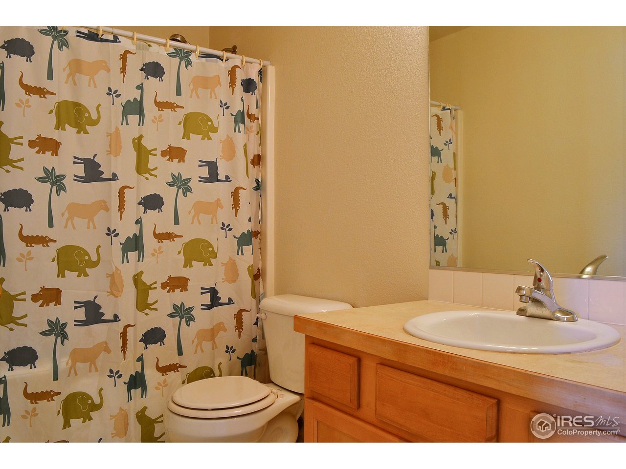 315 East 29th St Road Greeley, CO 80631 - Photo 11 of 15 Main Bathroom