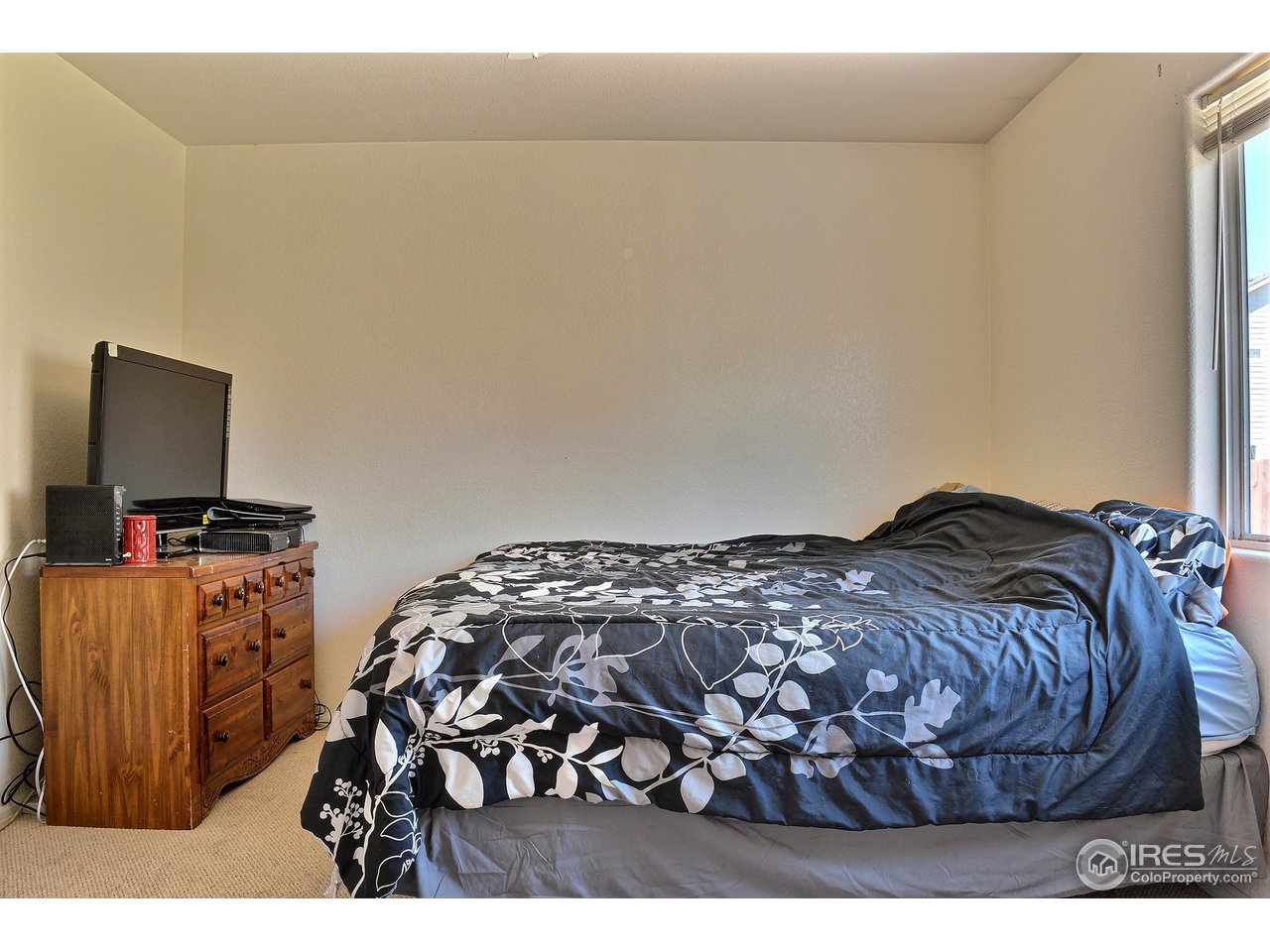 315 East 29th St Road Greeley, CO 80631 - Photo 9 of 15 Gallery Image 9