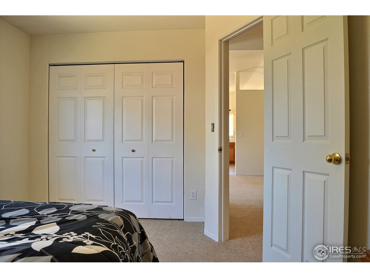 315 East 29th St Road Greeley, CO 80631 - Photo 10 of 15 Master Closet