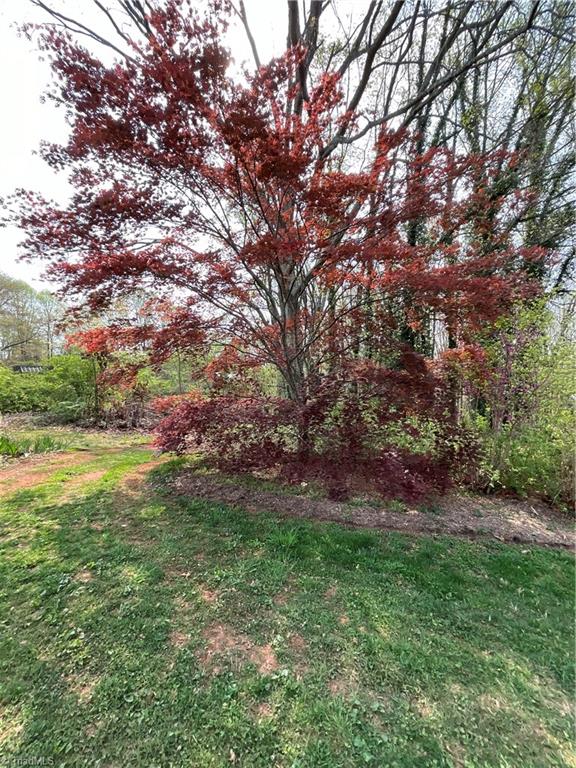 1158 Mountain View Road King, NC 27021 - Photo 36 of 43