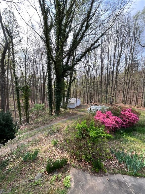 1158 Mountain View Road King, NC 27021 - Photo 39 of 43