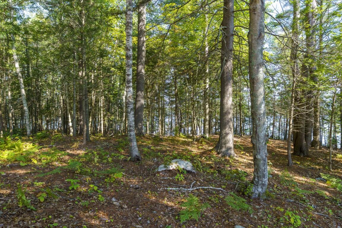 48 U.S. Rte 1 Edgecomb, ME 04556 - Photo 13 of 19 13