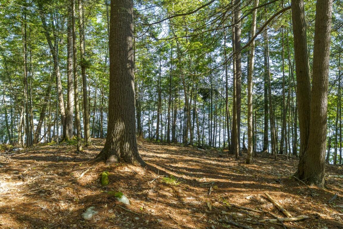 48 U.S. Rte 1 Edgecomb, ME 04556 - Photo 14 of 19 14