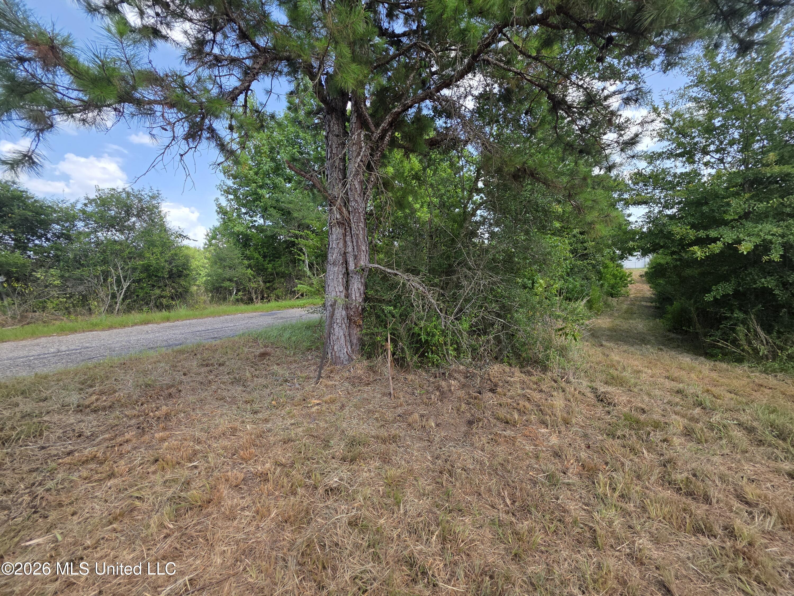 Mt Carmel Road Prentiss, MS 39474 - Photo 26 of 53 37942