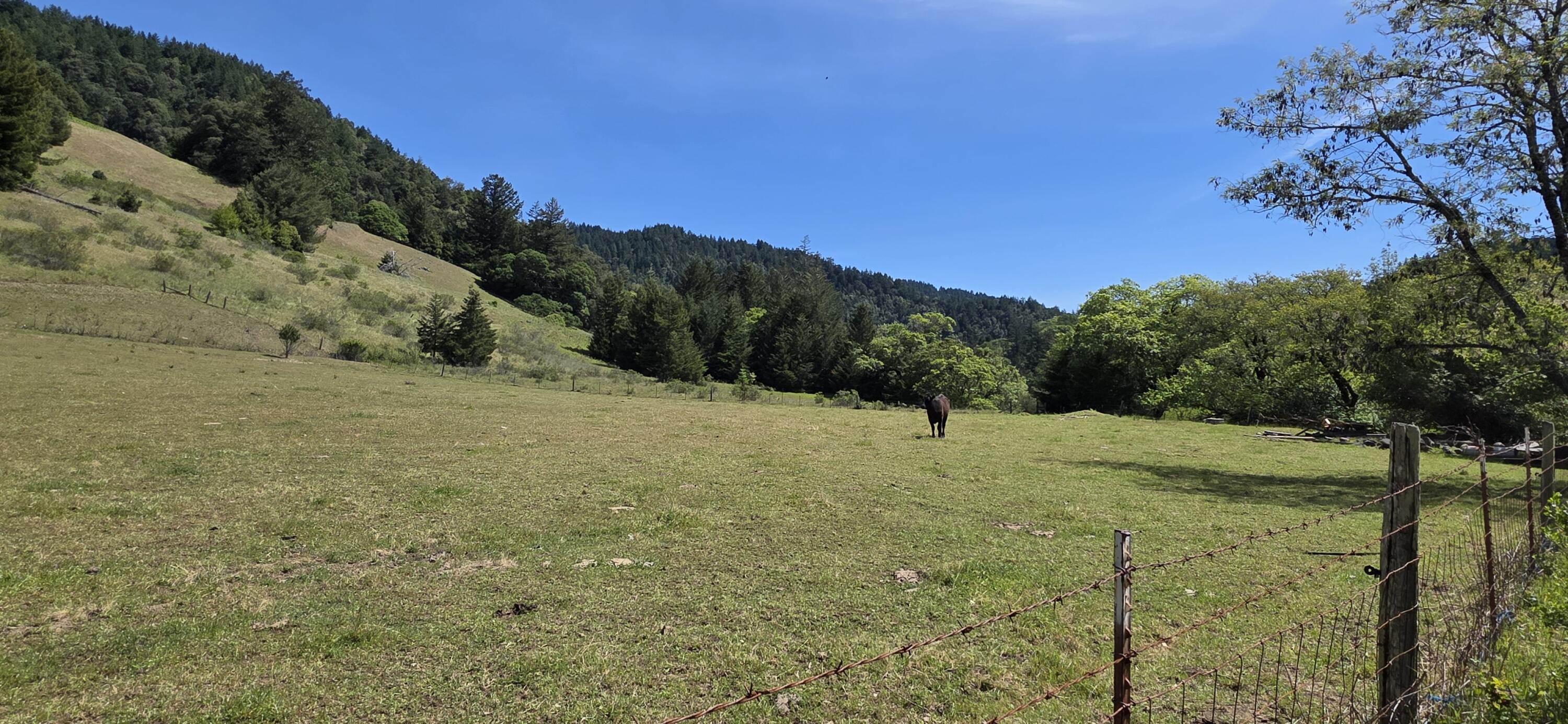 725 Old Hindley Ranch Road Petrolia, CA 95558 - Photo 11 of 33