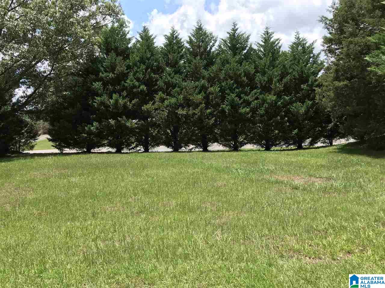 1166 Roy Webb Road Jacksonville, AL 36265 - Photo 5 of 43