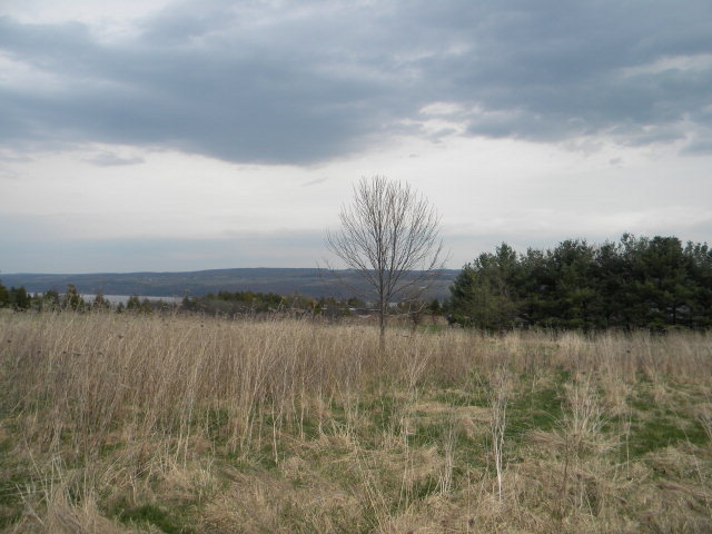 0 Dundee-Starkey Road Dundee, NY 14837 - Photo 1 of 1 Gallery Image 1