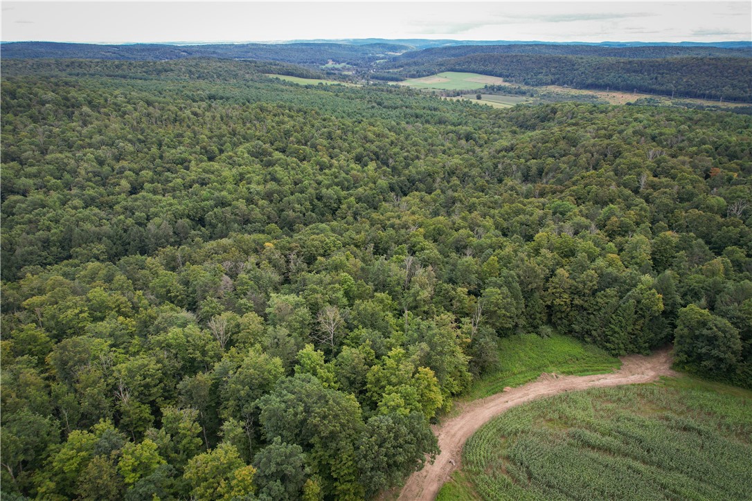 Hill Road Spencer, NY 14883 - Photo 2 of 48
