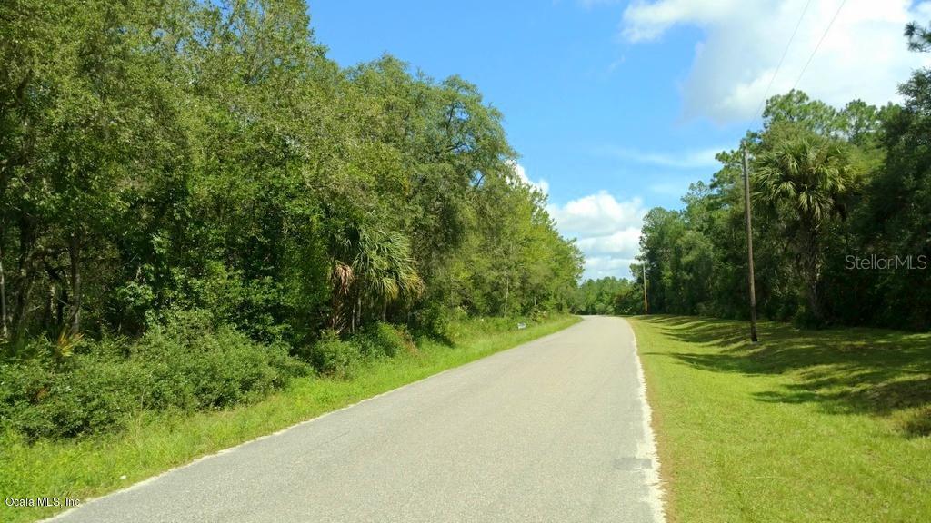 10 Northeast 130th Court Road Fort McCoy, FL 32134 - Photo 1 of 1 1