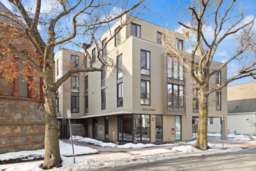 7 Beech Street, Unit 311 Cambridge, MA 02140 - Photo 19 of 23