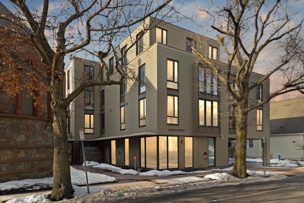 7 Beech Street, Unit 311 Cambridge, MA 02140 - Photo 20 of 23