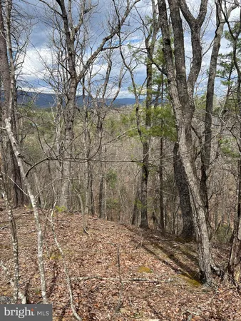 $7,500 | 0 Valley View Road, Mount Jackson, VA 22842
