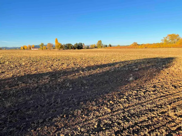 a view of an ocean and beach