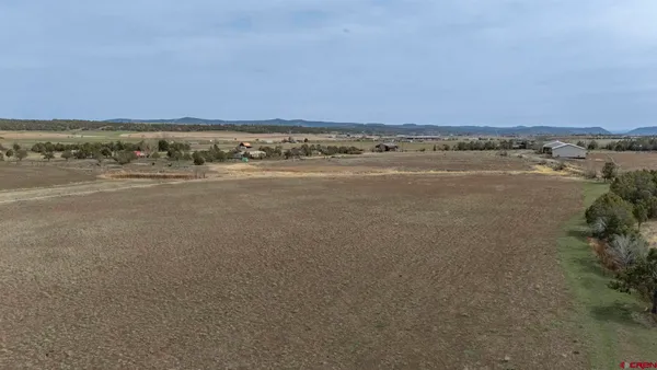 a view of an ocean beach