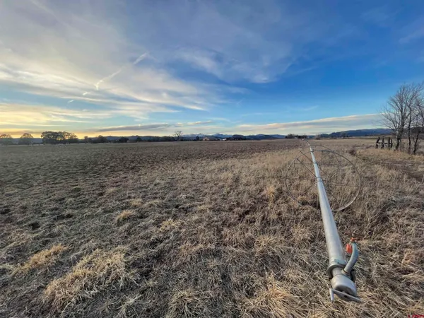 a view of an ocean beach