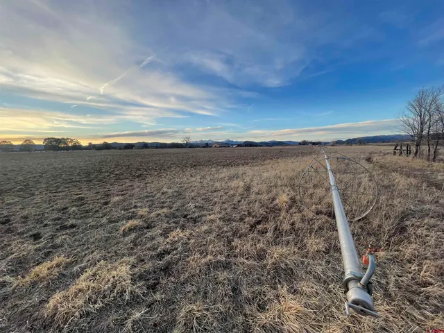 a view of an ocean beach