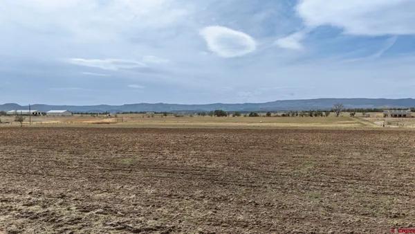 a view of an ocean and beach