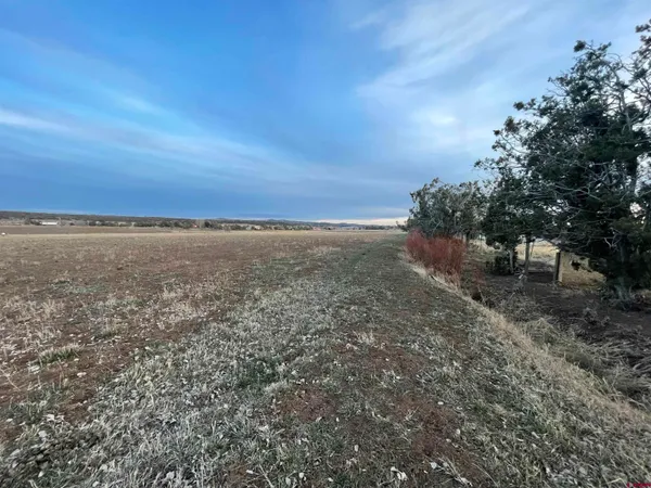 a view of an ocean beach
