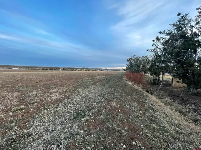 a view of an ocean beach