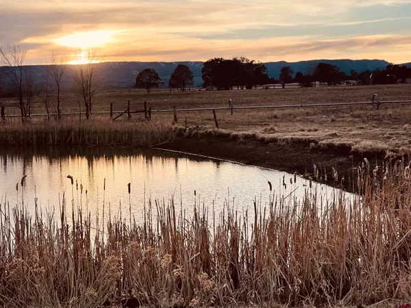 a view of a yard with wooden fence