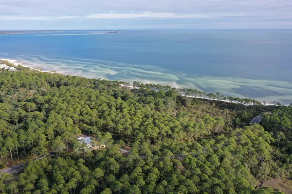 $84,900 | 160 Bunkhouse Dr Street, Sopchoppy, FL 32358