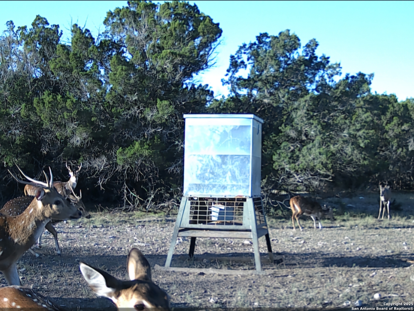 Tbd West Tbd W Nueces Ranch Rocksprings, TX 78880 - Photo 11 of 45