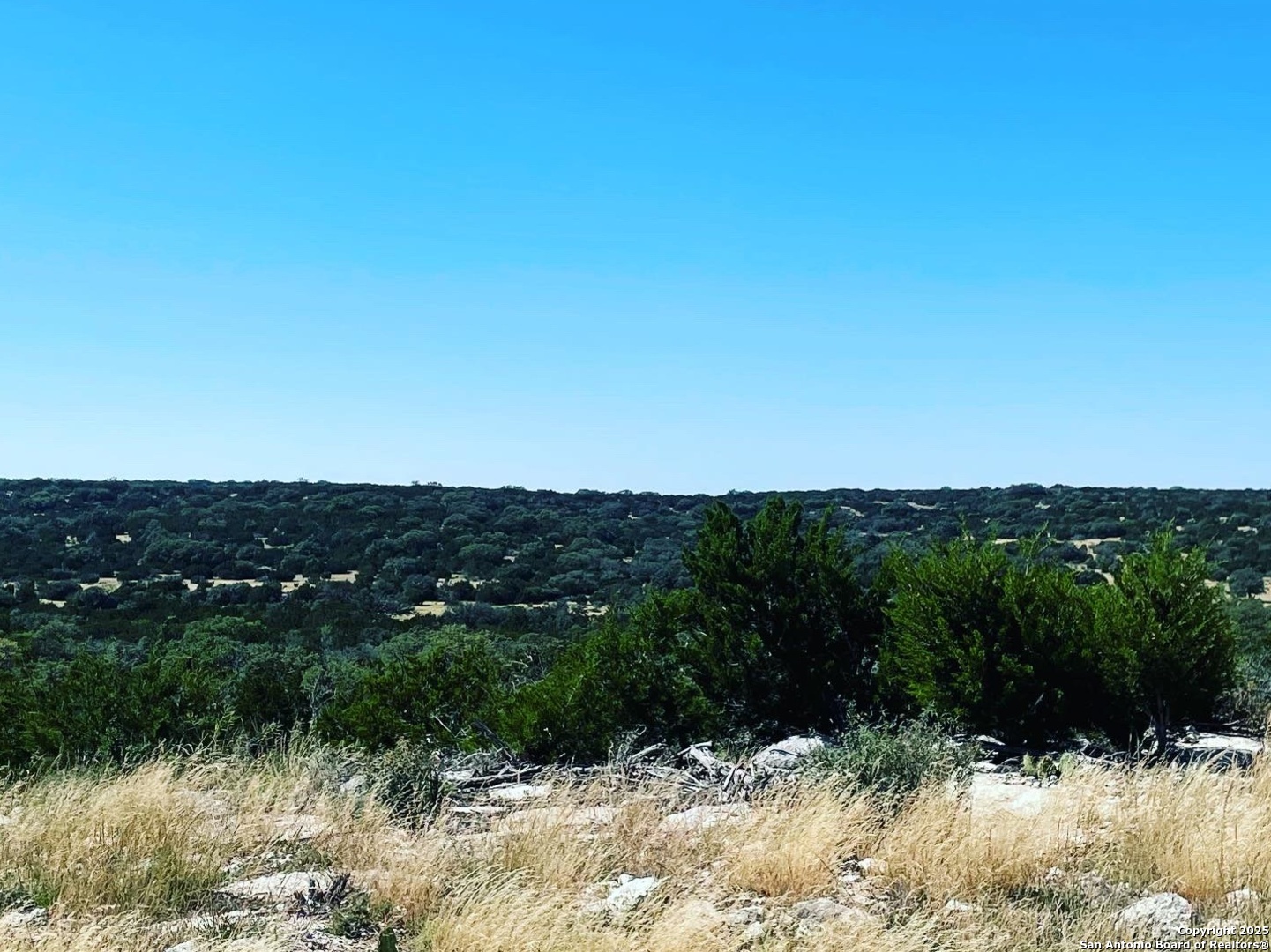 Tbd West Tbd W Nueces Ranch Rocksprings, TX 78880 - Photo 15 of 45