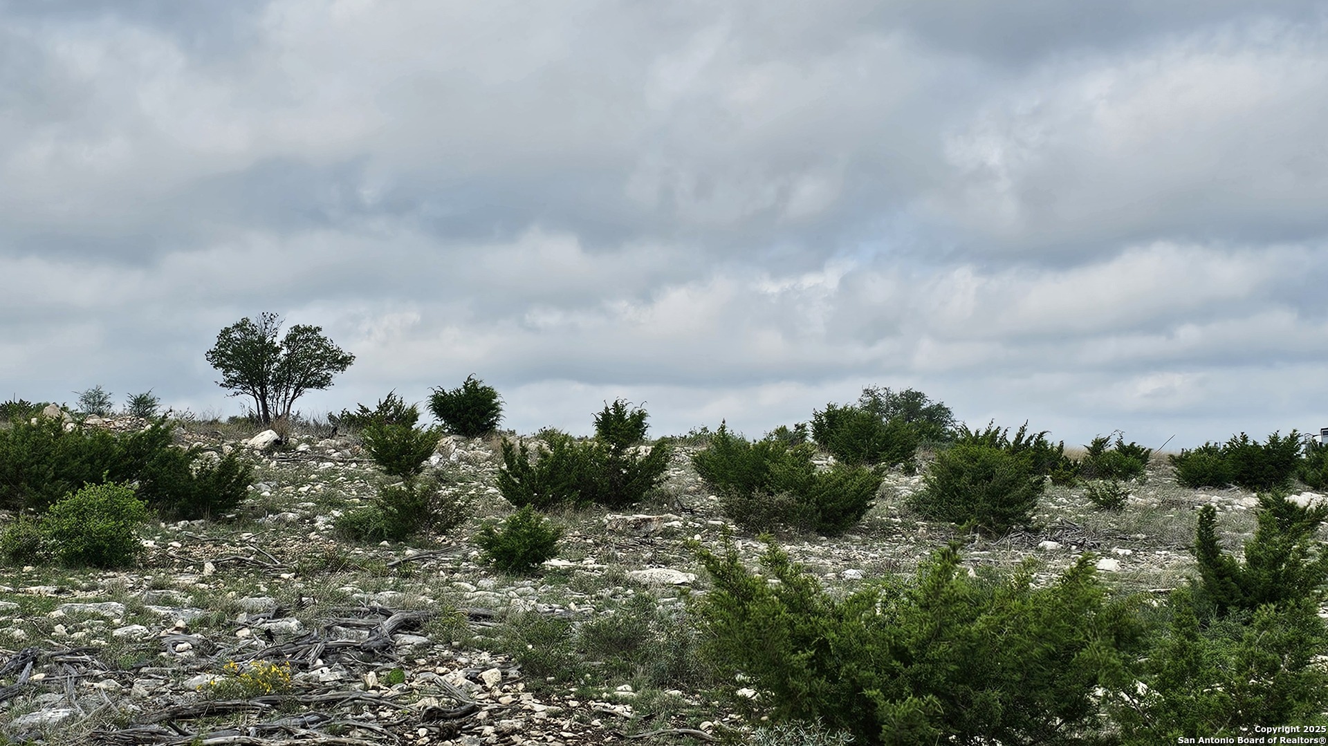 Tbd West Tbd W Nueces Ranch Rocksprings, TX 78880 - Photo 23 of 45