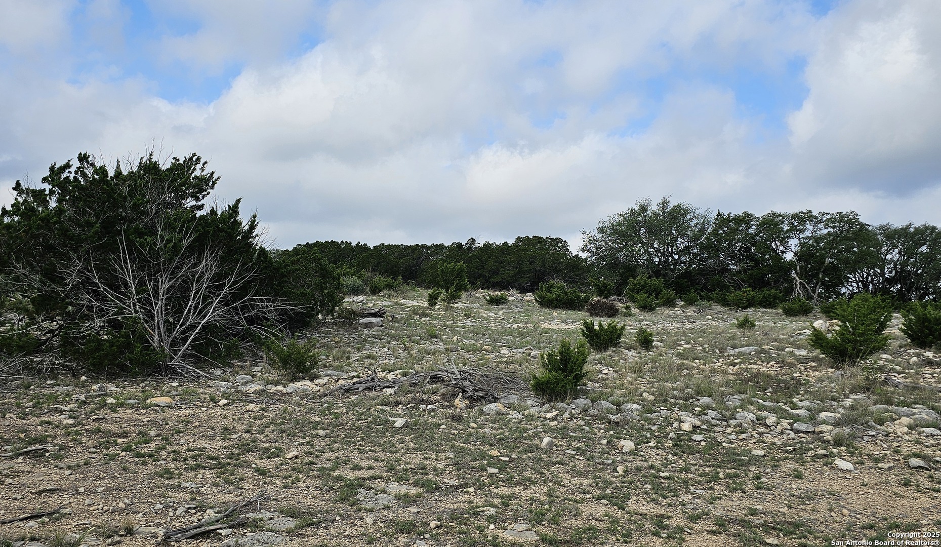 Tbd West Tbd W Nueces Ranch Rocksprings, TX 78880 - Photo 25 of 45