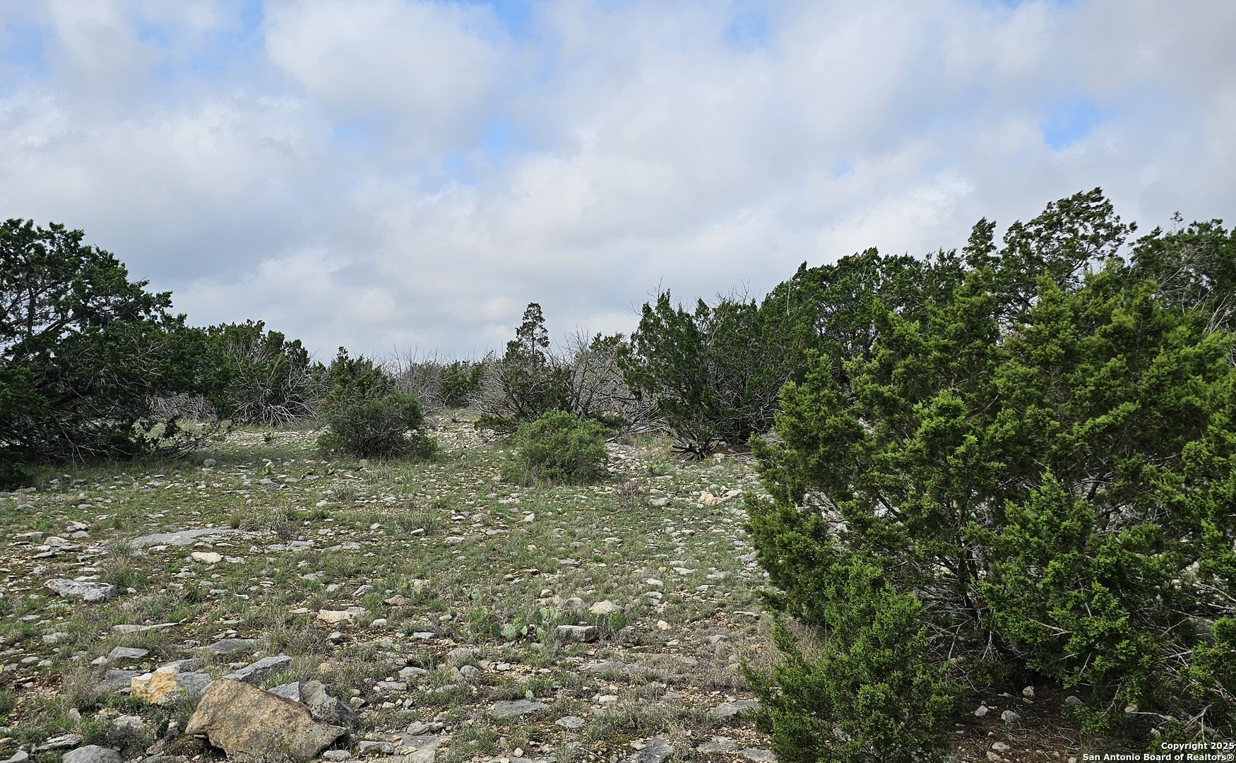 Tbd West Tbd W Nueces Ranch Rocksprings, TX 78880 - Photo 29 of 45