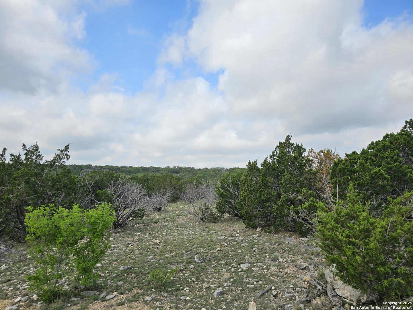 Tbd West Tbd W Nueces Ranch Rocksprings, TX 78880 - Photo 31 of 45
