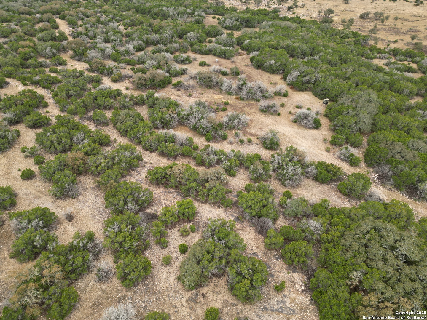Tbd West Tbd W Nueces Ranch Rocksprings, TX 78880 - Photo 45 of 45