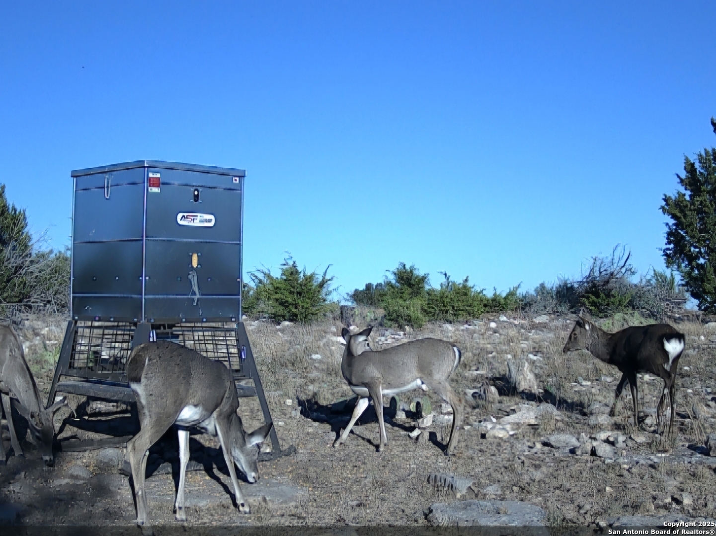 Tbd West Tbd W Nueces Ranch Rocksprings, TX 78880 - Photo 5 of 45